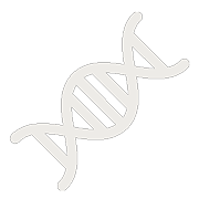 DNA Icon Grey 