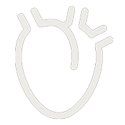 Heart icon grey 